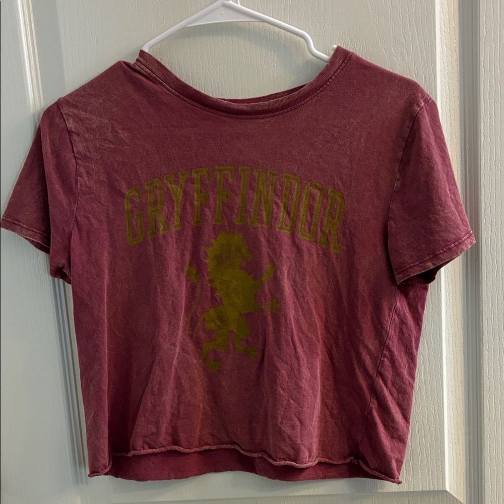 Gryffindor Maroon Crop Top